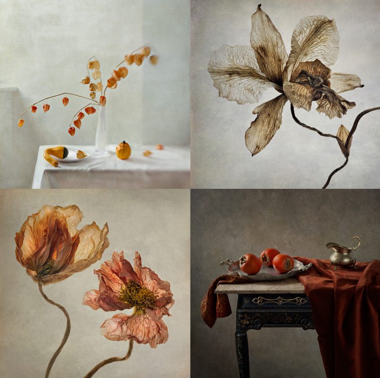 Polina Plotnikova – Flowers and Still Life