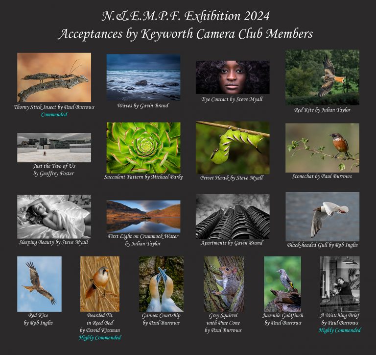North & East Midlands Photographic Federation Exhibition 2024