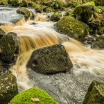Burbage Brook