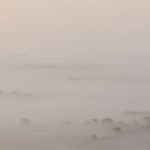 Breaking Through The Mist