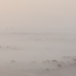 Breaking Through The Mist