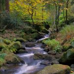 Wyming Brook