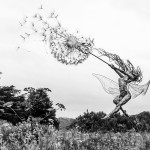 Away With The Fairies