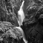 Aira Force