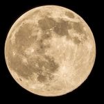Wolf Moon