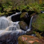 Wyming Brook