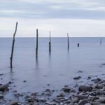 Herring Net Posts