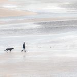 One Man And His Dogs