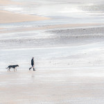 One Man And His Dogs